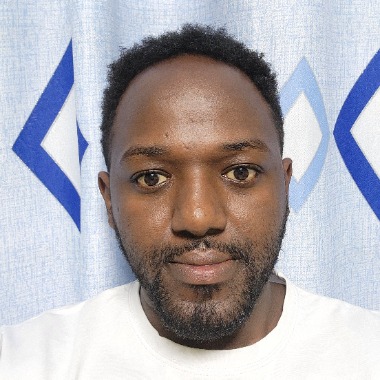 Data analysts, writer