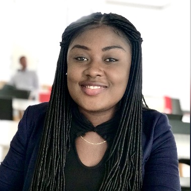 Sustainability Expert, Data Analyst, M&E, Grievance Mgmt, Presentation, Slide Design
