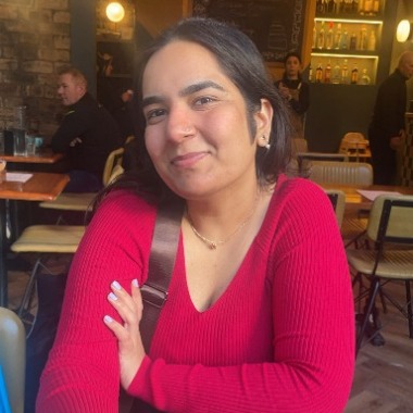 Multimedia Journalist